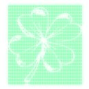 고냥이네 이미지