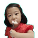 성주참외 7월 제철과일로 영양 가득하게