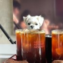 반 치앙마이 이미지