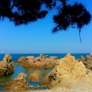 솔내음민박 이미지