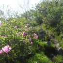 가학산 휴양림 이미지