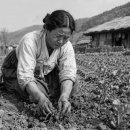 소야 - 익산시 인북로4길 34 | 소야