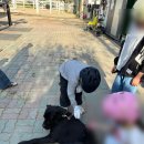 호스피아 학생승마 지원사업 남양주 건국승마원 학생승마 후기