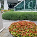 부산진구 건강증진센터 이미지