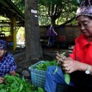 홍천막국수 이미지