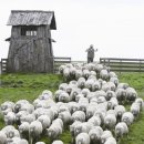 억척목장 이미지