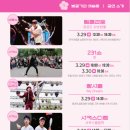 2024 경주 대릉원돌담길 벚꽃축제 이미지