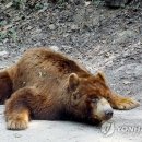 동물원 연합뉴스