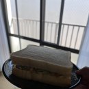 한국대흥의료관광(주) | 교토 일상 [45] &amp; 한국의료관광1탄ㅋㅋ 3/10~3/16