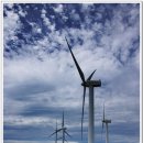 매봉산 바람의언덕 이미지