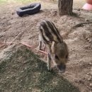 대불주거2로 이미지