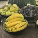 고대1085 | 2025 Budapest 2