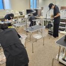 한국애견대학 | 애견미용대학 대신 학원? 진짜 취업 잘 되는 길 비교해 봤어요