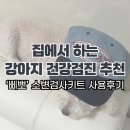 삐뽀 | 반려견 셀프 건강검진 / '삐뽀' 소변검사키트 내돈내산 사용후기