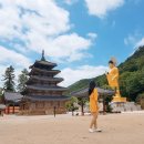 배시내상회
