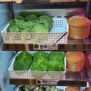 몽블리 이미지