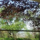 우계농원