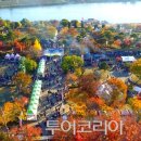 나루농장 이미지