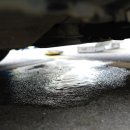 지엔지카 이미지