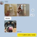 [260201_스위치온 14일차] 2주차 마지막‼️ / 보상심리 위험성 + 입터짐 방지 간식