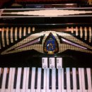 아코디언1 이미지