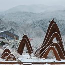 연기면_호수공원중앙수목원로 | 2026 수목원 가이드: 국립수목원·백두대간·세종 수목원 알아보기!