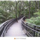 개화산 약사사 삼거리 이미지