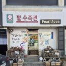 펄수족관 | 펄 아쿠아 방문 후기