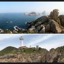 봄마중(2월에는) 이미지