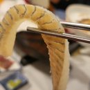 해바라기참치회 이미지