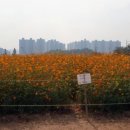 도진농장 이미지