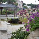 분수2리 이미지