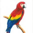 병아리약국 이미지