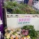 왜관농협 하나로마트 남부점 이미지