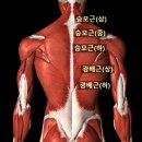 유하메디빌딩 이미지