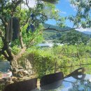 도덕2리 이미지