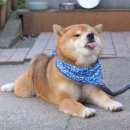 엘 하우스민박 이미지