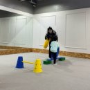 사곡동 동네체육시설 | [강남어린이체육]와이키키짐 4살 6살 유아체육, 인라인 후기(주차정보)