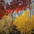 미사경정공원 이미지