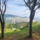 신기부영3차 아파트 이미지