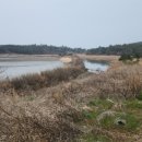 오시아노골프클럽 이미지