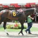 제이에스초이스 이미지