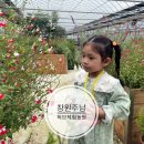 주남농원 | 리뷰:) 창원주남허브체험농원 주말 체험후기, 창원 아이와 가볼만한 곳