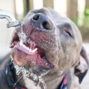 둔촌동물병원 이미지