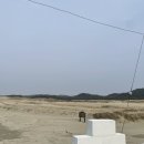 사구농장 이미지