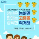 몰 노컷뉴스