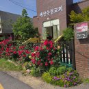 2026.5.25(월,대체공휴일) 오늘의 말씀카드, 365묵상글 이미지