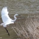 방은목장 이미지