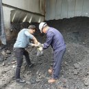 행정사법인 환경인 이미지