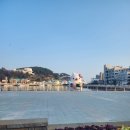 23/1/10~23/1/11 통영1박2일여행(스탠포드호텔앤리조트,더카트인통영, 동백동백커피식물원)